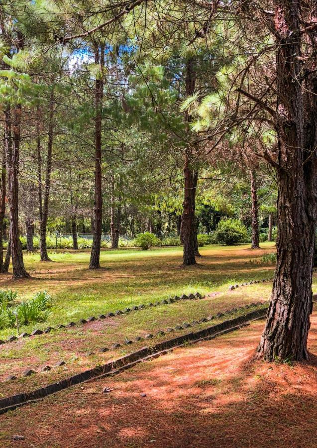 Pousada O Cantinho Da Raposa Monte Verde  Eksteriør bilde
